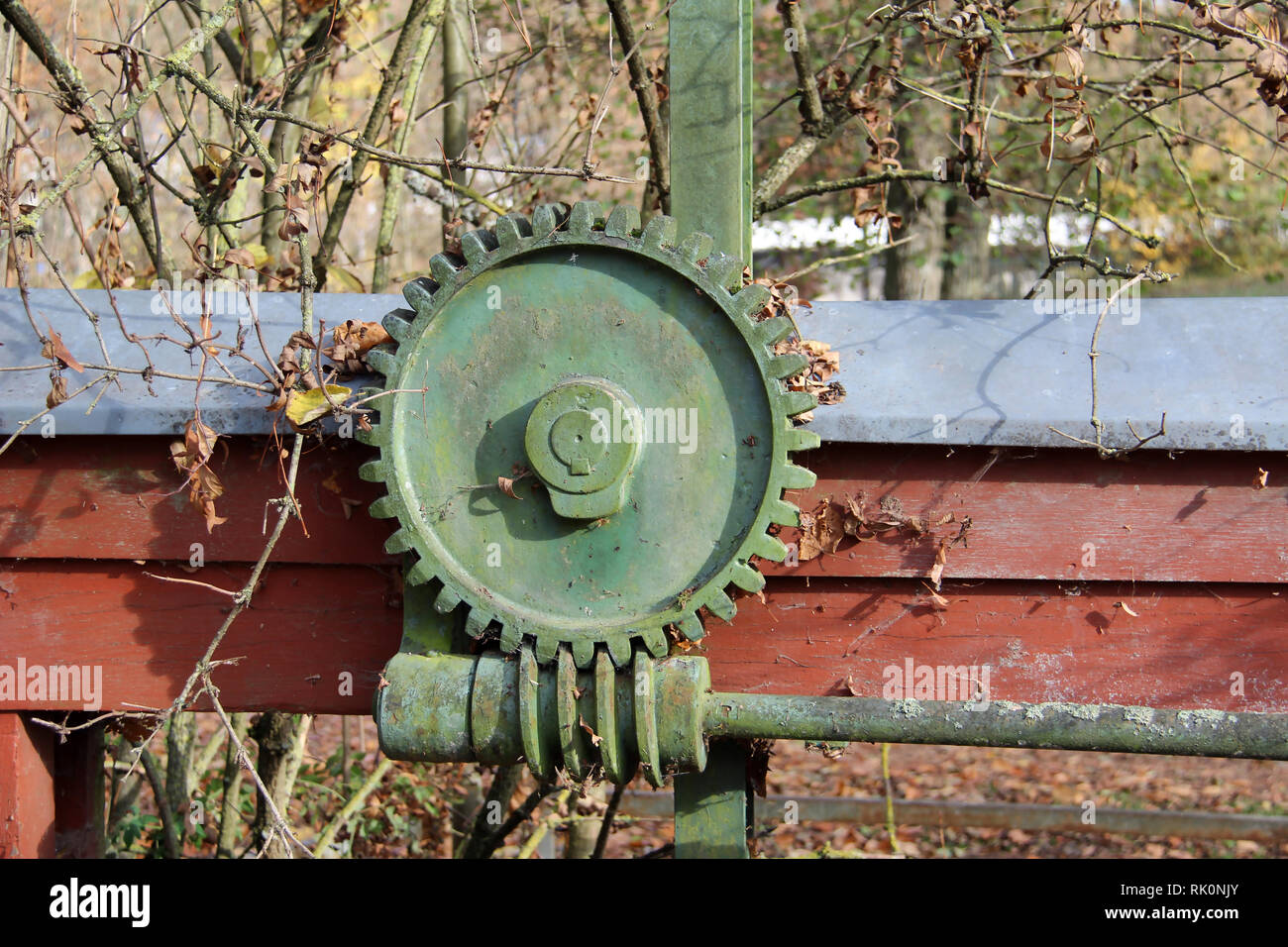 Ingranaggio elicoidale / parti meccaniche: Marcia, vite senza fine . Foto Stock