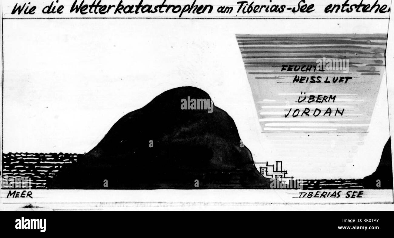 . Arthur e Fritz Kahn 1889-1932 di raccolta. Kahn, Fritz 1888-1968; Kahn, Arthur David 1850-1928; Storia Naturale illustratori; storia naturale. Ih-o ••und un demselben Tage des Abends sprach er zu ihnen: Las3f^ lans hinüberfahren. rnn^ f&GT;Q wA-rPTi m^Yw JSnhJf f e bei"-±hm &gt; und es erhob sich ein grooser (ffindJyirbel" und warf die Wel^ len in das Schiff, anche dass das Schiff voll ward" und er war hinten auf dem Schiff und schlief auf einem'Kis- sen. Elenco telefonico di agenti integrato sie weckten ihn auf und sprachen zu ihm: keister, fragst jiu nichts danach, dass wir verde rben? ^nd er^"tand auf und bedr Foto Stock