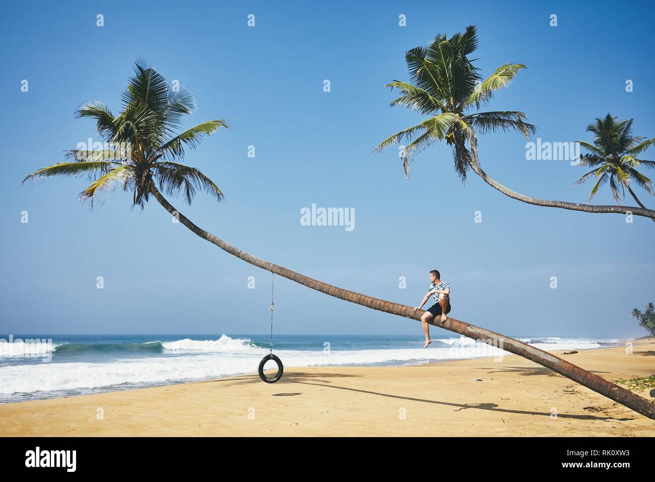 Giovane uomo seduto sul palm tree. Relax sulla spiaggia di sabbia. Sri lanka Foto Stock