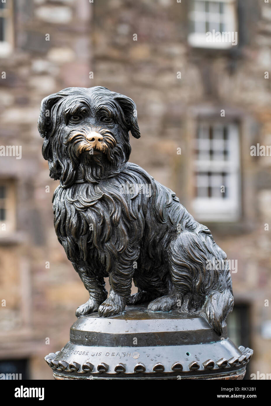 Famosa statua di Greyfriars Bobby cane in Edinburgh Old Town, Scotland, Regno Unito Foto Stock