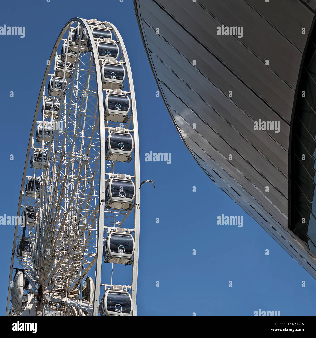 Liverpool M&S Banca o Echo Arena e la ruota Foto Stock