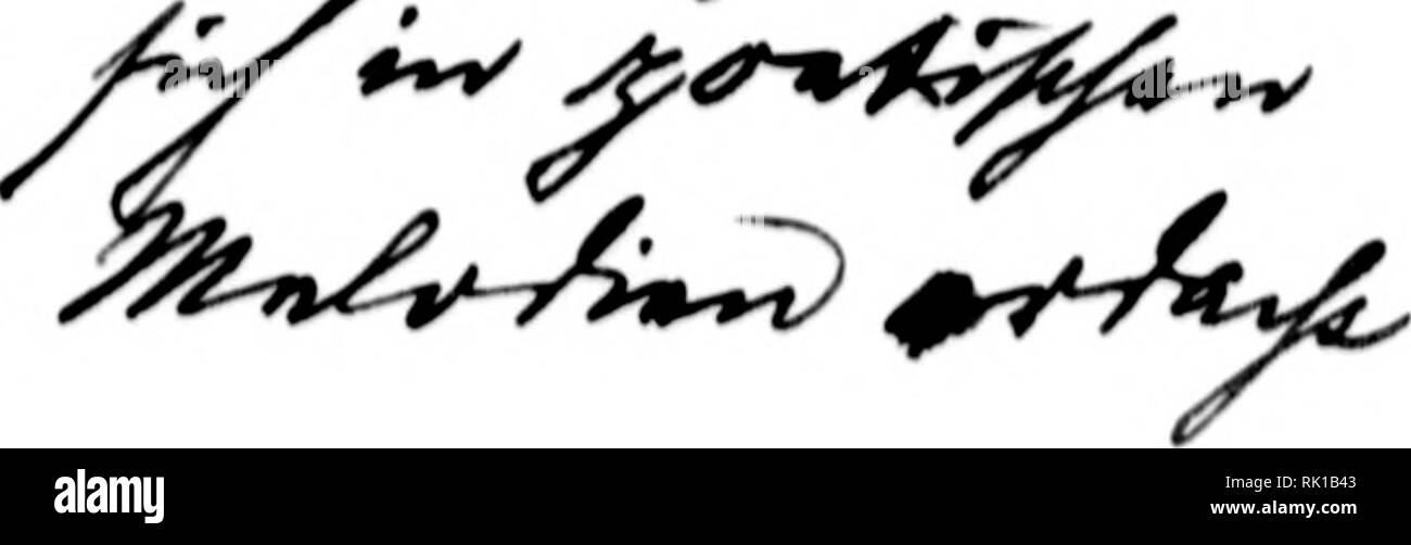 . Arthur e Fritz Kahn 1889-1932 di raccolta. Kahn, Fritz 1888-1968; Kahn, Arthur David 1850-1928; Storia Naturale illustratori; storia naturale. ^4Â" *^^^JÂ"^^ * Â"^^"^ ^Â"I^^^Â"^^ &gt;**^^^^'4^^^ ' I k. 9;ad) Suba Â§Qlct)i, 3bn.gÂ§ro, Â©abirol, l)Qben ujtr Sadrl^unbcrtc 5U burc^iÃ¼anbcln, in lueldjen bie (SaBbatl)* t)ocfic SÃ¤rocl burcb (einer fieibcnÃ¤nac^t begleitet. 2)OCF) 3uba8 Seijer ift nur noc^ ouf Srouerafforbe geflimmt. Eie da frà¶{)licf}Ãieber ue, bie etnft in l)ciliger un?Ã¤terfprQ($e, (SpantenÂ" fonnigen (Sefilben burc^fjadten, fmb uerftummt. 9iur ber 3ammerfc^rei ber Â©efolter Foto Stock