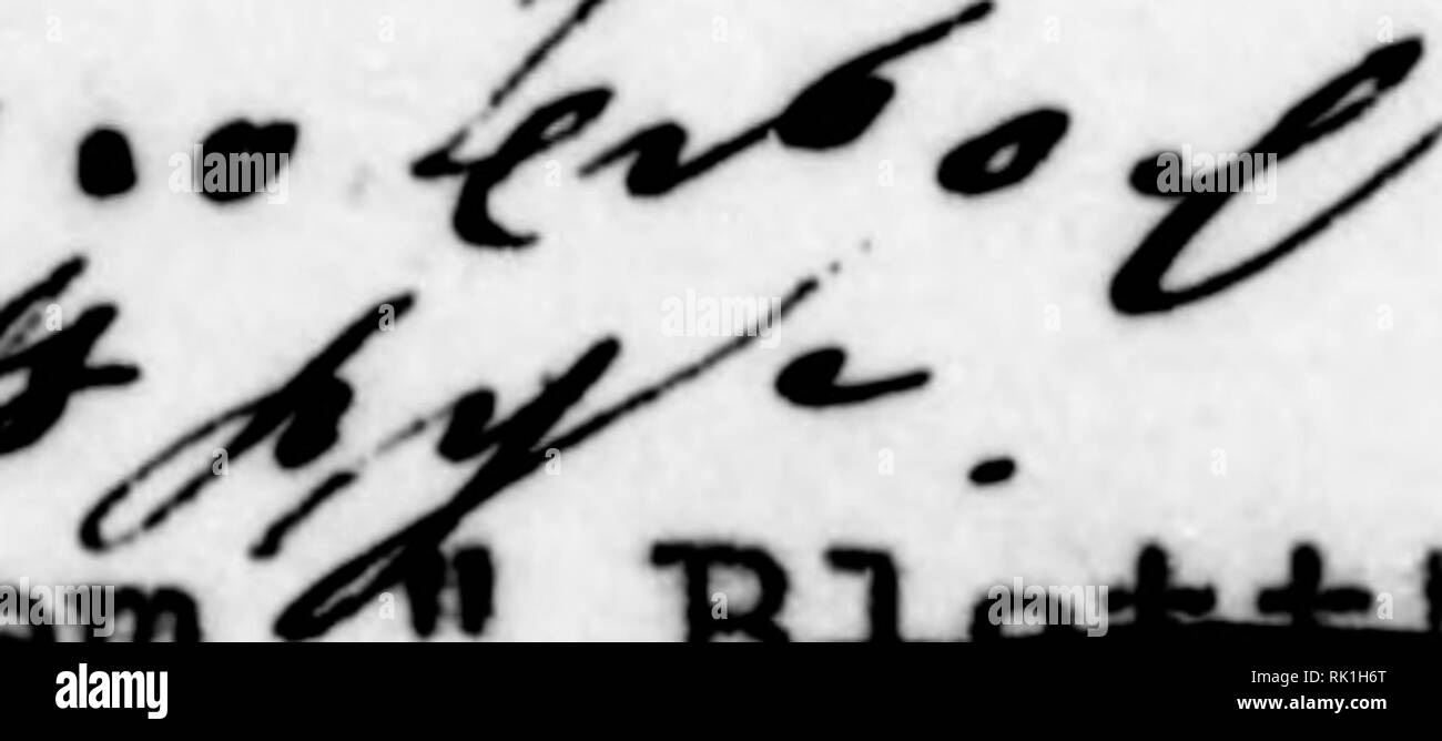 . Arthur e Fritz Kahn 1889-1932 di raccolta. Kahn, Fritz 1888-1968; Kahn, Arthur David 1850-1928; Storia Naturale illustratori; storia naturale. rd das abbiamo.sser, das die Wurzelapiti&amp;e auß dem saußjt Boden onu^-^ durch den o f.AJ0 9e0t^ Stamm iy dy"e Blatt befördert ( a-d ) mit "^e^^KohlensSu e verei- nigt, die das Blatt durchTcine AtempoJfiP'r^aus der Atmosphäre au giHi (o)" DaG auo Kohlencäux'c und V/cnöci- ^iunanniengesot^ite Produkt nennt tian KohlenilBßr^era^yoff oder Kohle/(hydrat (f)# Pie niodcron ^^^^^^ infache KohleiÖiydrate worden/Susaiftnengesetiit 2ui höheren. Die ein- fache Foto Stock