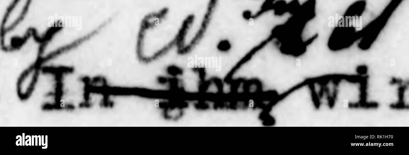 . Arthur e Fritz Kahn 1889-1932 di raccolta. Kahn, Fritz 1888-1968; Kahn, Arthur David 1850-1928; Storia Naturale illustratori; storia naturale. r Ölbaum; auf El fanten* in trocken- ßebi;tenf( s" Abb. Das Platt. Über l&GT;tanin^ und Stengel ßchv/ebt als dar&GT; eigentliche Orfan der Pflanze das Blatt (III). j^ ^ /^^ ^7'p^ J.; c^ c^^. rd das abbiamo.sser, das die Wurzelapiti&amp;e auß dem saußjt Boden onu^-^ durch den o f.AJ0 9e0t^ Stamm iy dy"e Blatt befördert ( a-d ) mit "^e^^KohlensSu e verei- nigt, die das Blatt durchTcine AtempoJfiP'r^aus der Atmosphäre au giHi (o)" DaG auo Kohlencäux'c u Foto Stock