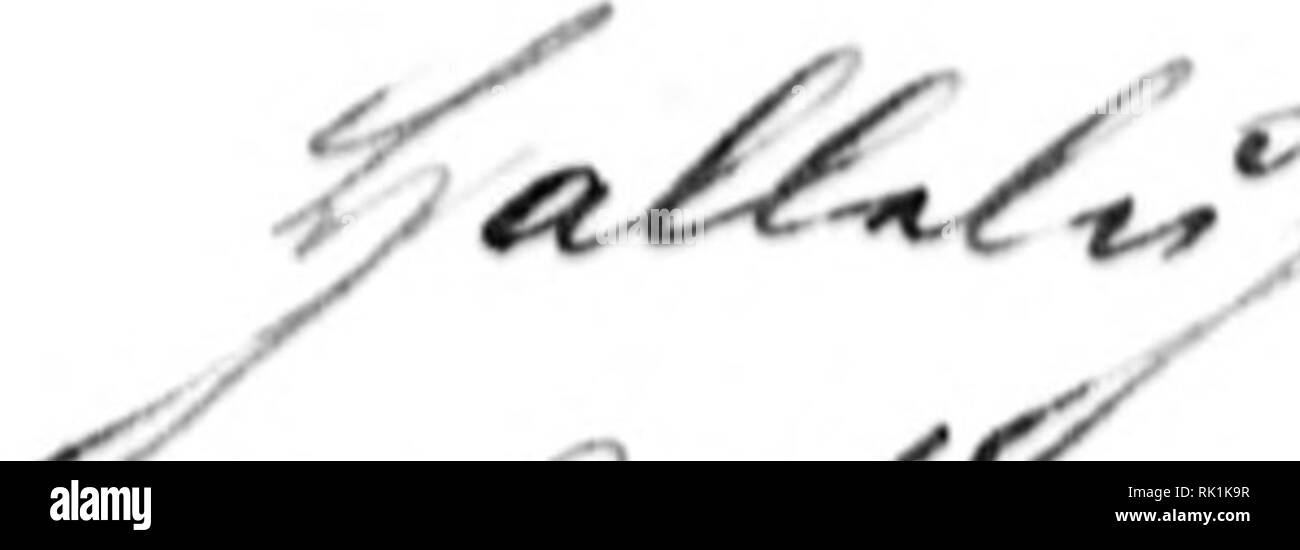 . Arthur e Fritz Kahn 1889-1932 di raccolta. Kahn, Fritz 1888-1968; Kahn, Arthur David 1850-1928; Storia Naturale illustratori; storia naturale. Intenzionale seconda esposizione -^t^ ^^:^^^ J. -? ^=1^^. Si prega di notare che queste immagini vengono estratte dalla pagina sottoposta a scansione di immagini che possono essere state migliorate digitalmente per la leggibilità - Colorazione e aspetto di queste illustrazioni potrebbero non perfettamente assomigliano al lavoro originale. Kahn, Arthur e Fritz. Foto Stock