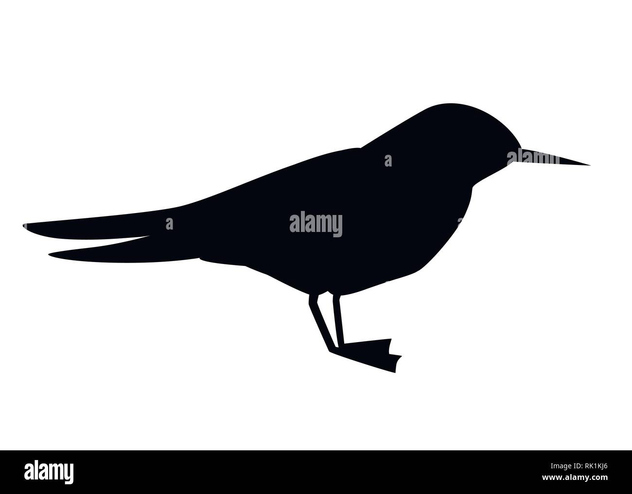 Silhouette nera. Flying White Bird. Arctic Tern. Sterna hirundo. Animali artici, cartoon design piatto. Illustrazione di vettore isolato su sfondo bianco Illustrazione Vettoriale