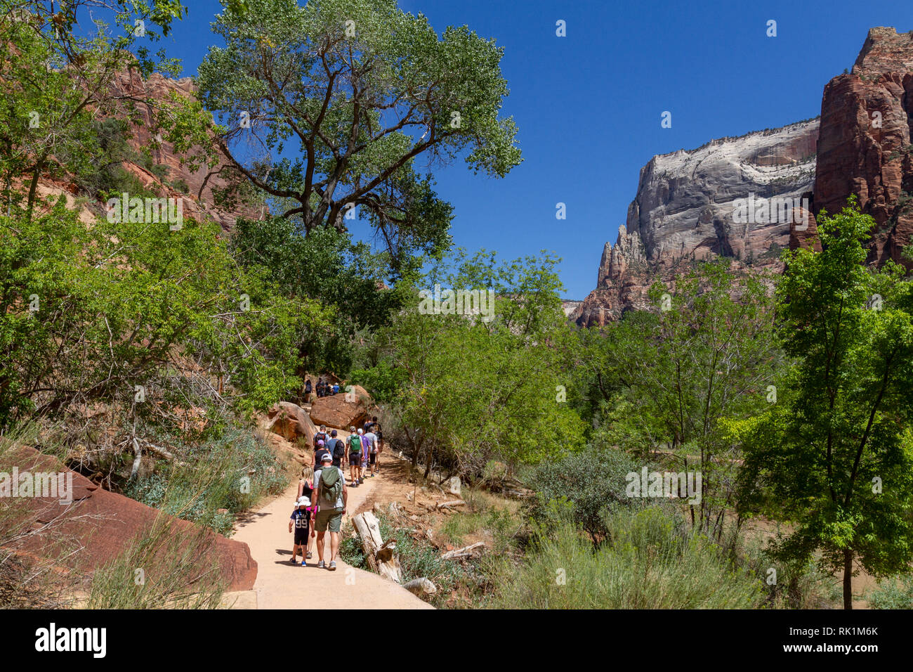 Walkers sul pool di smeraldo sentiero accanto al fiume vergine vicino a Sion Lodge, Parco Nazionale Zion, Utah, Stati Uniti. Foto Stock