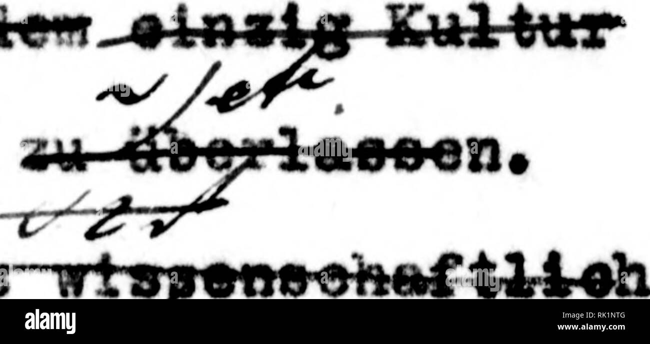 . Arthur e Fritz Kahn 1889-1932 di raccolta. Kahn, Fritz 1888-1968; Kahn, Arthur David 1850-1928; Storia Naturale illustratori; storia naturale. pden| / ^' V.-.'- wertig abgestempelt. als.fremdrasslg und zugleich minder- • Die ^i / "•i" WürdeNguua nach dieser Ilaasenkund" dlo ^XoTunrilung d&GT;h, die Reinigung de" mJS^mft verschieben, ^ ^ ^*-2^ i^. Si prega di notare che queste immagini vengono estratte dalla pagina sottoposta a scansione di immagini che possono essere state migliorate digitalmente per la leggibilità - Colorazione e aspetto di queste illustrazioni potrebbero non perfettamente assomigliano al lavoro originale. Kahn, Arthur e Fritz. Foto Stock