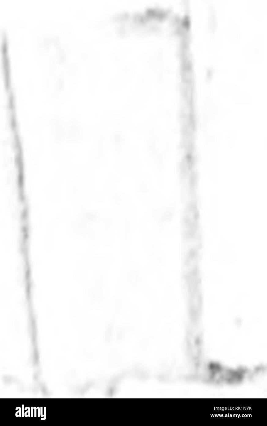 . Arthur e Fritz Kahn 1889-1932 di raccolta. Kahn, Fritz 1888-1968; Kahn, Arthur David 1850-1928; Storia Naturale illustratori; storia naturale. Â Â â ¢ i^ v'ti. Ho ULU Â©c|d)i(f oclÃ¶ft; er i(i)uf imib. xiitMC ^aingaoc i)Ã¶t er ti u j Ã¶h: er ?d)uf in bcr S)oppeIfifi^:r l bcftd)tiocn. Ift^cuna onhPDTtete neftein oui Dieie mim)ru i U^^ujicf jc^ricb g&GT;ert â¢Â" bcr ein fert bfflflbtcf Â"Â"^ncn ftHjt unb â cr"nn"ei Â"-Â"iittVJUClJl ^u c 5 t 11 e â¢t &gt; )c ?r ic dl lÃ¶ c- r- Cr 1- 3511 Ã¶etm #fltt)alb$. ^-. ^. SÃon !l;r. SB io l f) c I Jt a 16 n. es. ift Sflucf bcr) ber grofecn SKÃ Foto Stock