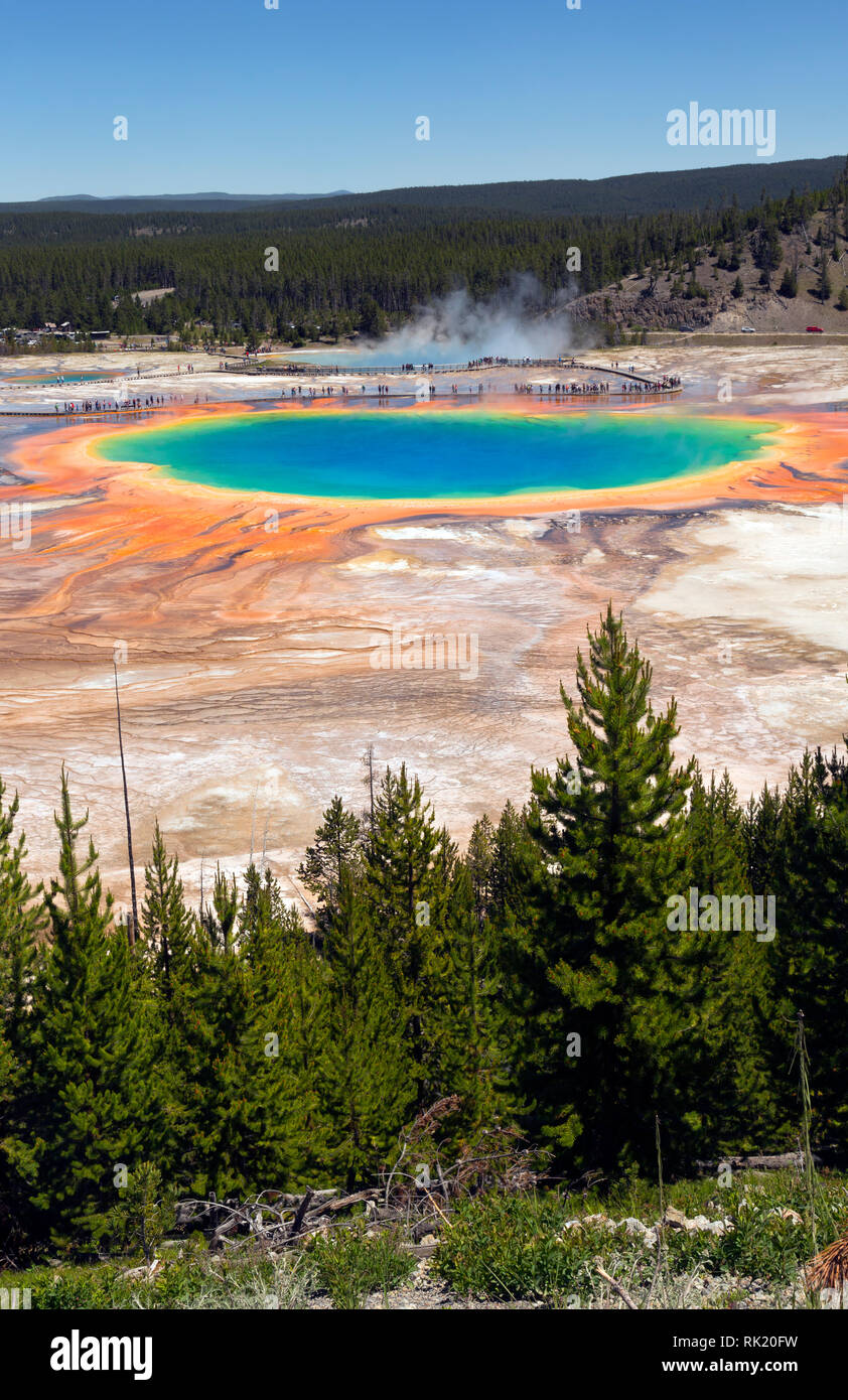 WY03389-00...WYOMING - Grand Prismatic Spring, una popolare attrazione di Midway Geyser Basin del Parco Nazionale di Yellowstone. Foto Stock