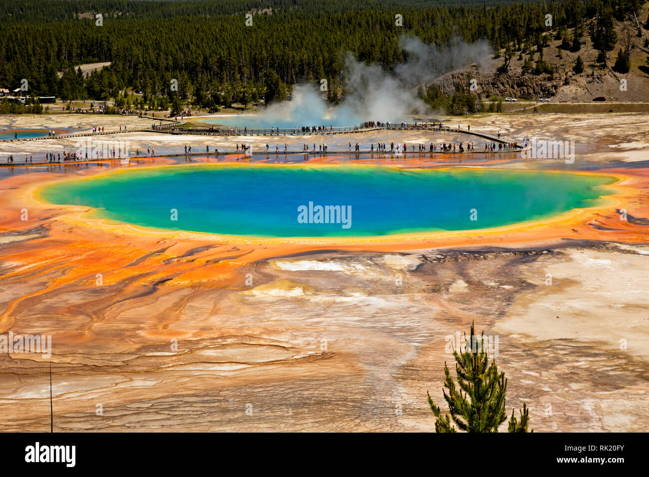 WY03390-00...WYOMING - Grand Prismatic Spring, una popolare attrazione di Midway Geyser Basin del Parco Nazionale di Yellowstone. Foto Stock