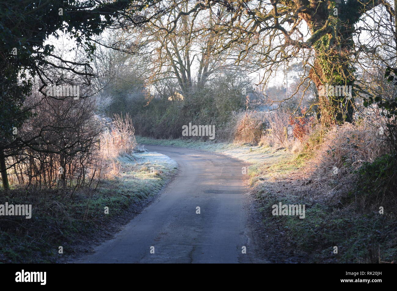 Frosty lane a minore Street, Southrepps, a nord-est di Norfolk, Inghilterra, Regno Unito Foto Stock