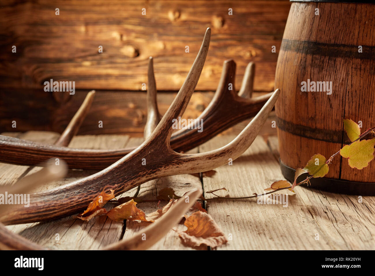 Rustico casa hunter o bar decorazione di corna di cervo, Giallo autunno foglie e Barile di legno sulla superficie del vecchio tavolo in legno Foto Stock