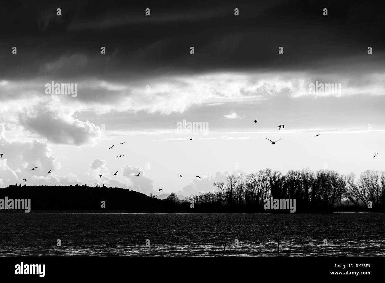 Uccelli in volo sul lago Trasimeno Foto Stock