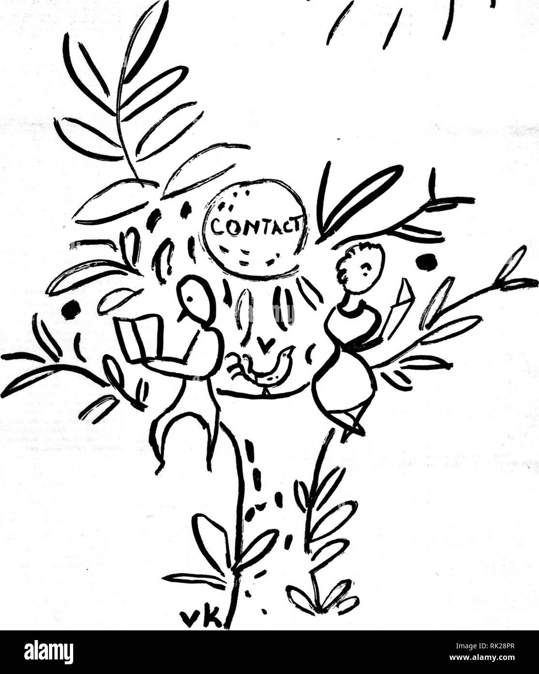 . Arthur e Fritz Kahn 1889-1932 di raccolta. Kahn, Fritz 1888-1968; Kahn, Arthur David 1850-1928; Storia Naturale illustratori; storia naturale. 3iNva -K s.iiNoaa 3a -k 3ad3n3a iooHDsa33i ^ m &gt; o 4 m. CO C0 m 2 &gt; &gt; m 73 o o m o t/" m 73 m 7^ m O CO o iHDVN lOOi.". Si prega di notare che queste immagini vengono estratte dalla pagina sottoposta a scansione di immagini che possono essere state migliorate digitalmente per la leggibilità - Colorazione e aspetto di queste illustrazioni potrebbero non perfettamente assomigliano al lavoro originale. Kahn, Arthur e Fritz. Foto Stock