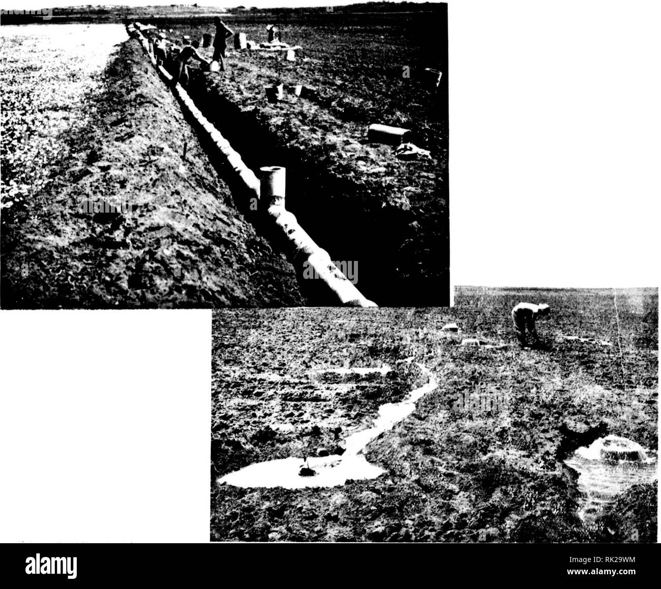 . Arthur e Fritz Kahn 1889-1932 di raccolta. Kahn, Fritz 1888-1968; Kahn, Arthur David 1850-1928; Storia Naturale illustratori; storia naturale. Intenzionale seconda esposizione j â¢â ¢ â. l.Dic Wicderriorsteirari'; der j..orrialen V/asaorverhaltniÃ¶se, Jede Jieuf.' ÃiedliUi^"; essere^iÃ¼jit lait den Boiireii eines Brminens l-'acii erJ'oljreiCiier ho robeboJirmi.ii wird dW .jniijjen aus.;-esGnacb.tet lUid dao Vifa3SÃ¼r cistssr. in einei.: V/A'-^sertiirii rÃ¶trr. xleitet, dejriit laaui C3 lu.tcr Ã¼PvCUk: Ã¼ber die x'anziano /erteilen ka-n (Ã¤- . ^^^-^ , Der LruiLiicn 11:1t m der .iÃ¼rde uiid der 'ivasee/tu Foto Stock