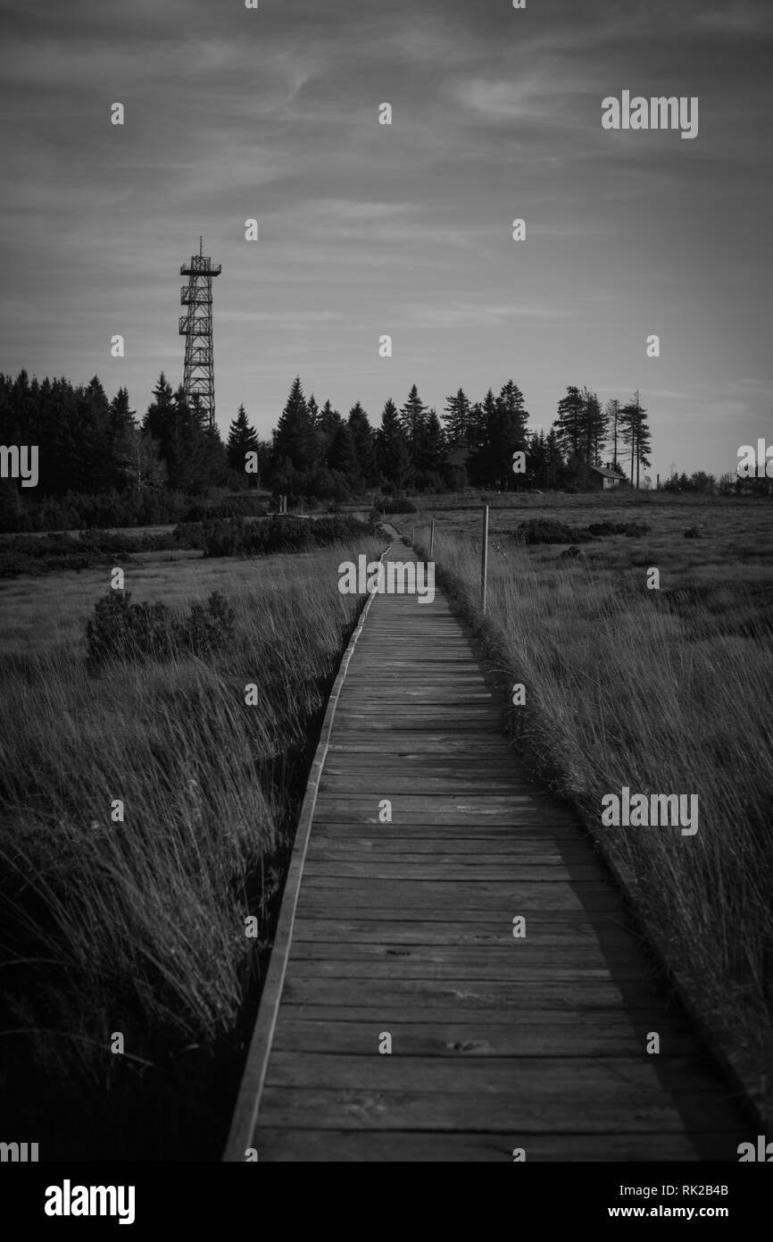 Una passerella sull'hornisgrinde Foto Stock