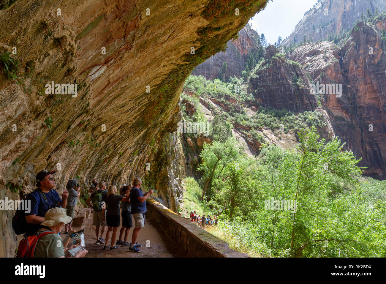 Visualizzare sotto il pianto Rock (con la caduta dell'acqua), il Parco Nazionale di Zion, springdale, Utah, Stati Uniti. Foto Stock