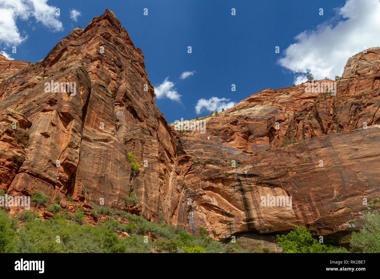 Guardando le rosse scogliere di arenaria di Echo Canyon nei pressi di pianto Road, Parco Nazionale Zion, Utah, Stati Uniti. Foto Stock