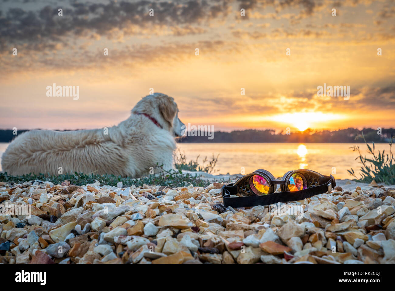 Festival occhiali caleidoscopio prevista con il cane sulla spiaggia di ciottoli al tramonto con colori dell'arcobaleno Foto Stock