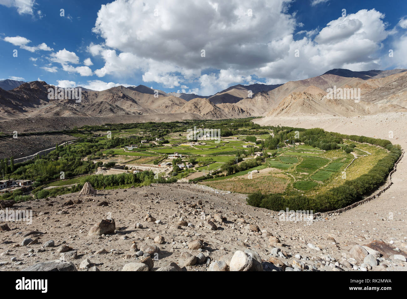 Una piccola valle fertile in città in Khardungla Pass, Tibet Foto Stock