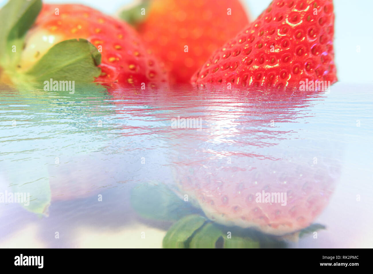 Fragole gustose in acqua, Nizza bacche fresche su sfondo blu Foto Stock