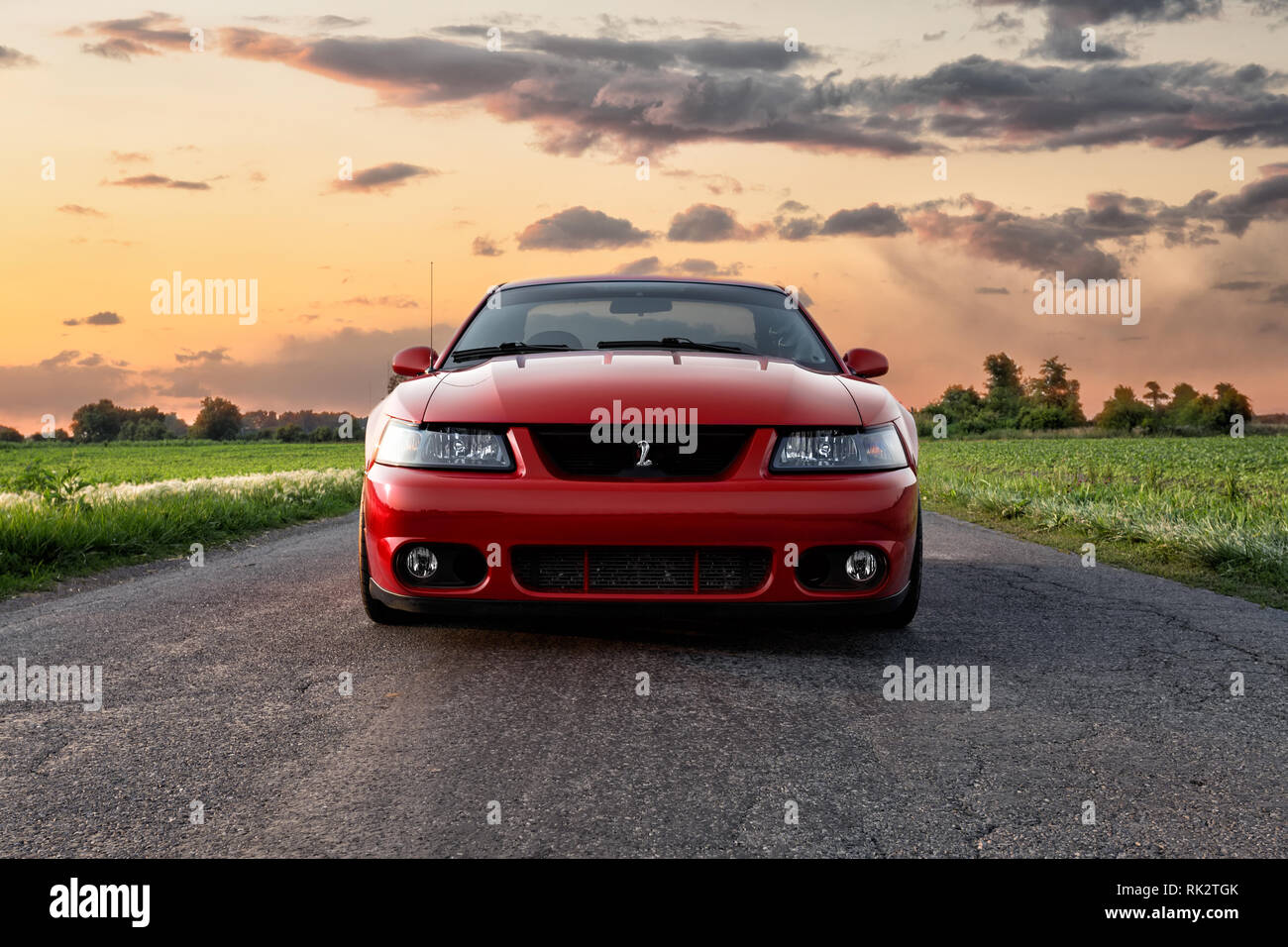2003 Ford Mustang Cobra Foto Stock