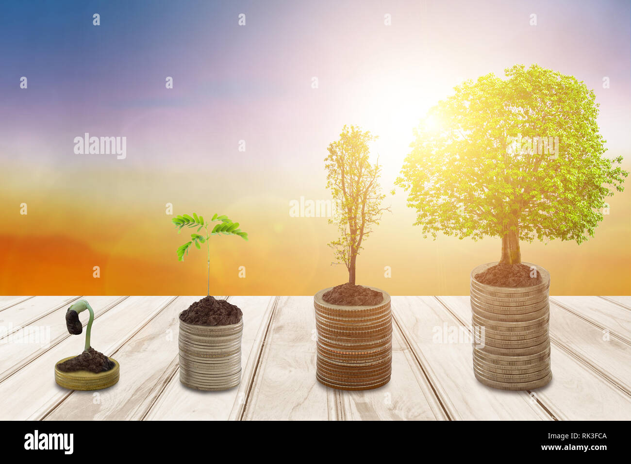 Crescente di denaro o di impianto sulle monete il successo aziendale ,alberi che crescono sulla pila di monete denaro in sun flare stile silhouette, le finanze e il concetto di investimento. Foto Stock
