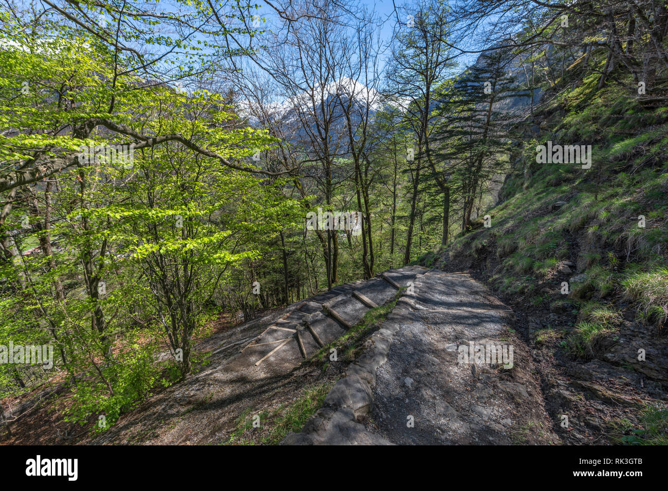 Escursionismo nelle alpi svizzere Foto Stock