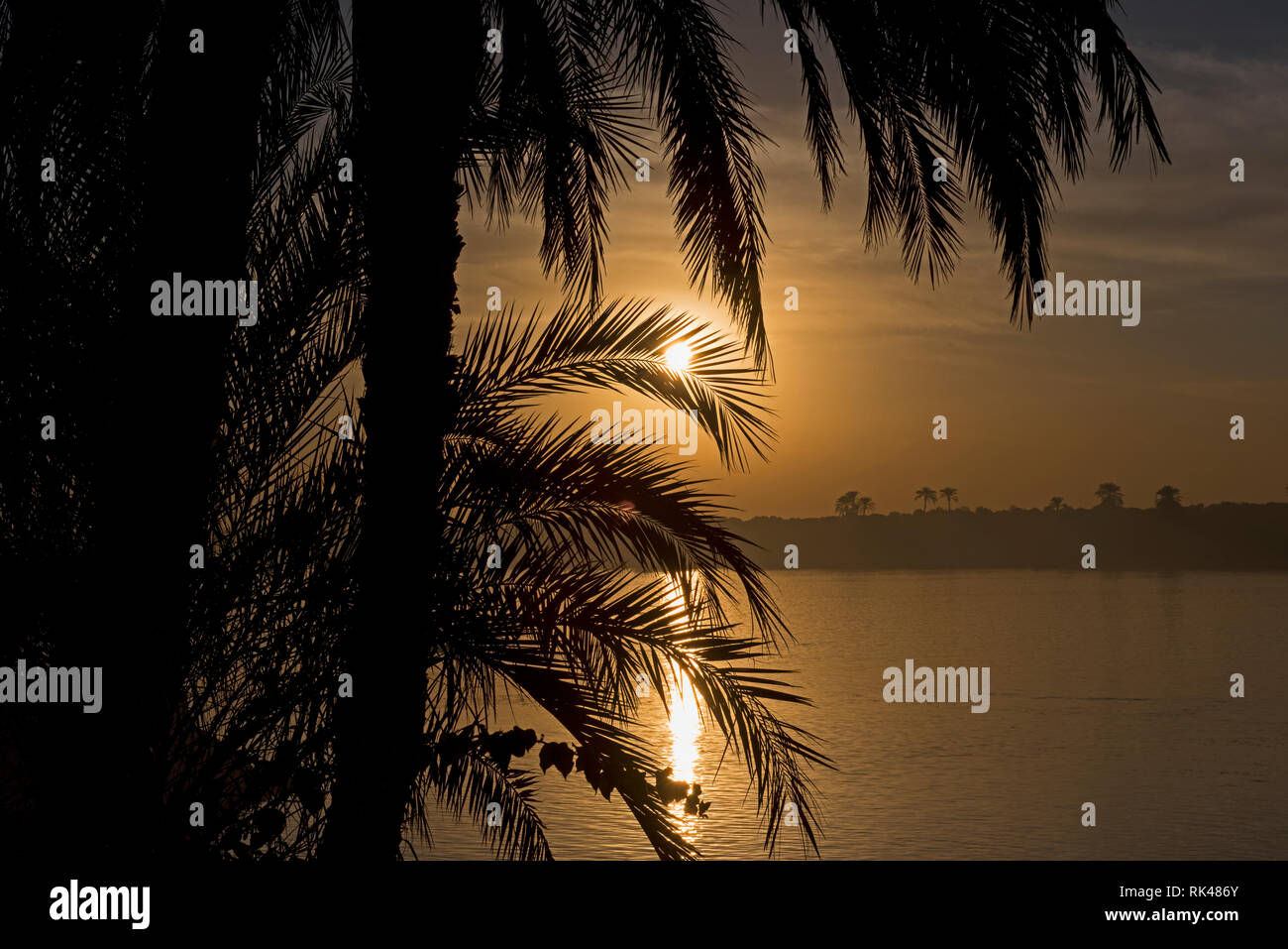 Vista sul grande fiume Nilo in Egitto attraverso il paesaggio rurale Palm tree paesaggio con bella arancione tramonto Foto Stock