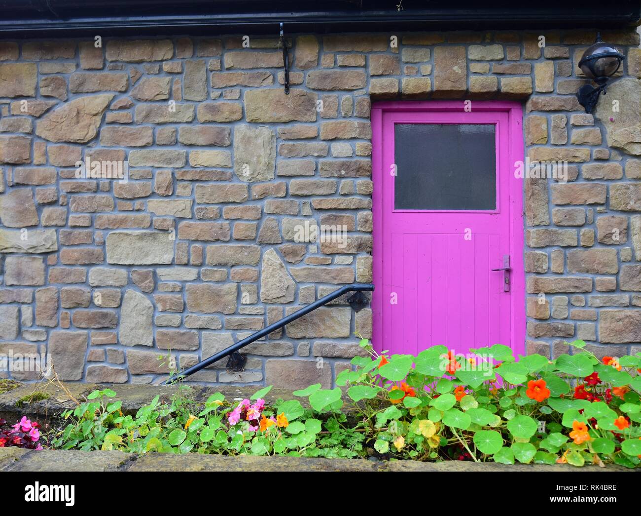 Una casa con una porta rosa e un corrimano in Mountshannon, County Clare, Irlanda. Nella parte anteriore sono alcuni fiori, nasturtium. Foto Stock