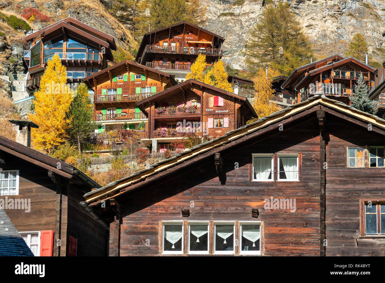 Case in legno e chalet circondato da giallo larici, Zermatt, Vallese, Svizzera Foto Stock