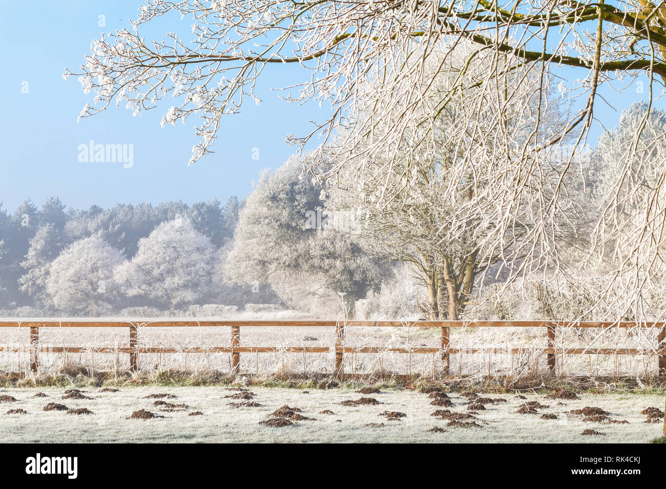 Splendida area rurale scena invernale con pesanti la brina su alberi e una rampa di due staccionata in legno. Cielo blu chiaro e congelate di campi con mole hills Foto Stock
