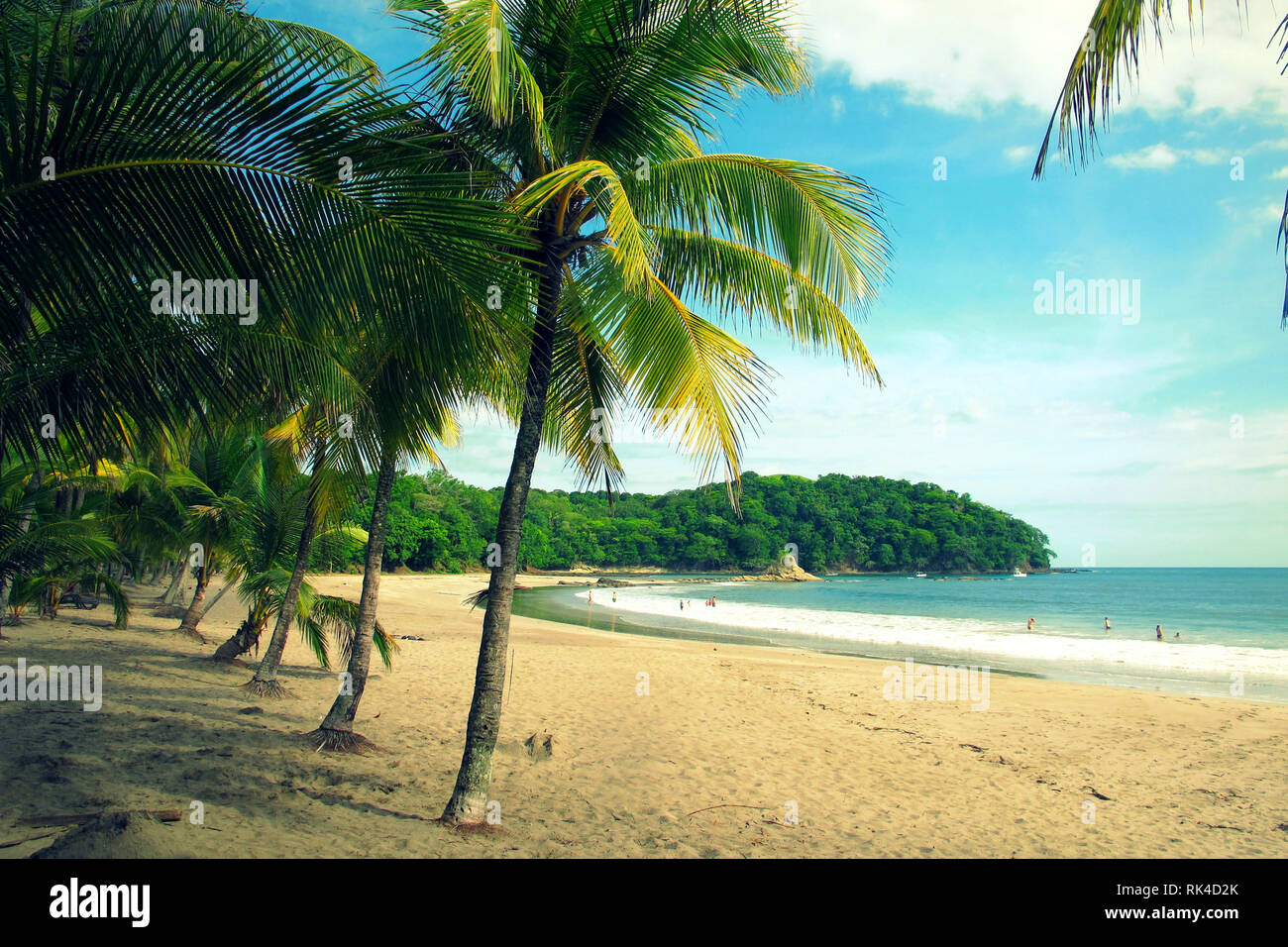 Palm-viale alberato in carillo beach in Guanacaste in Costa Rica Foto Stock