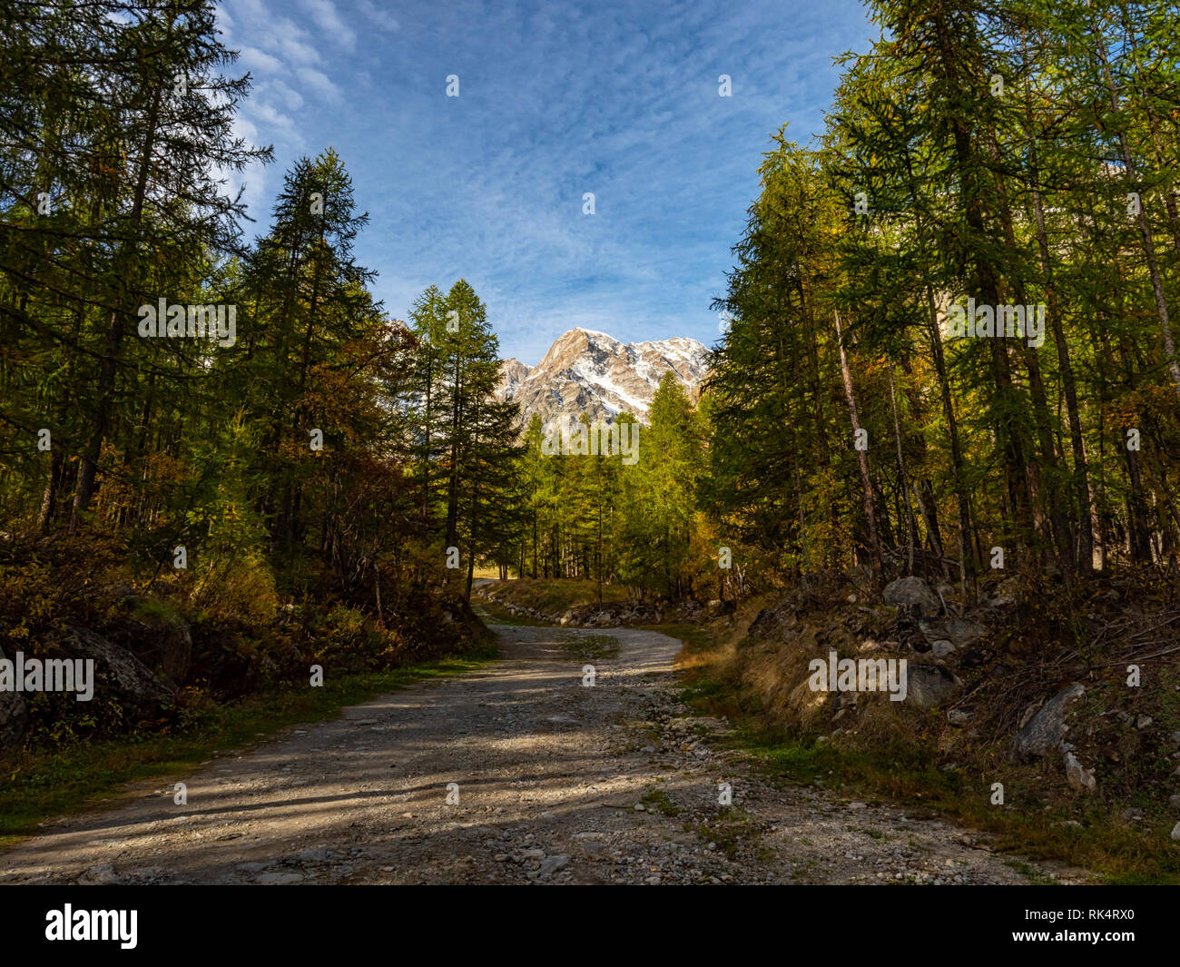 Autunno nelle alpi italiane Foto Stock