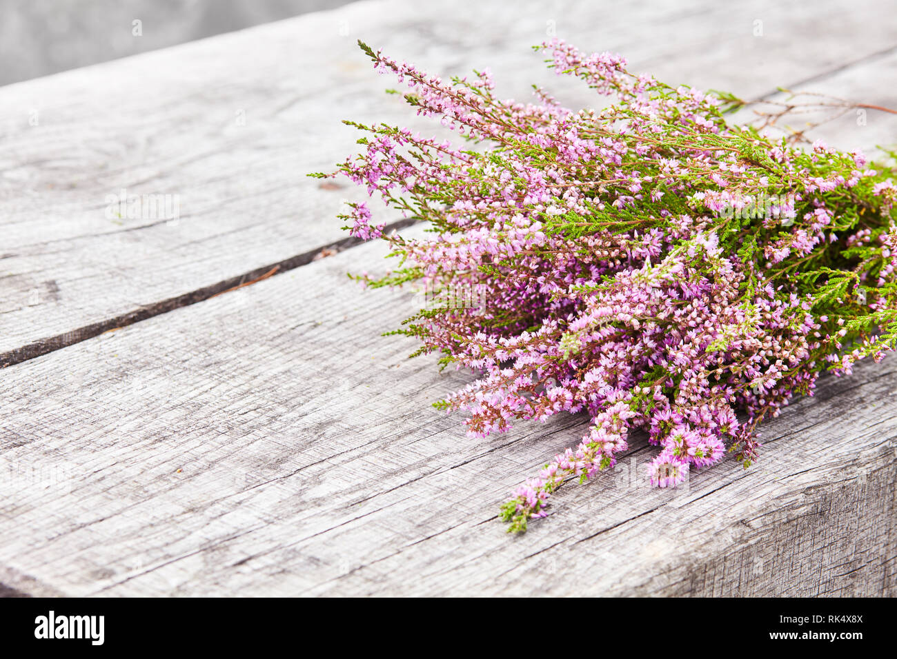 Bouquet di viola brugo bush (Calluna vulgaris, erica, ling, chiamato anche Ling impianto sulla brughiera) su un vecchio grigio Sfondo di legno Foto Stock