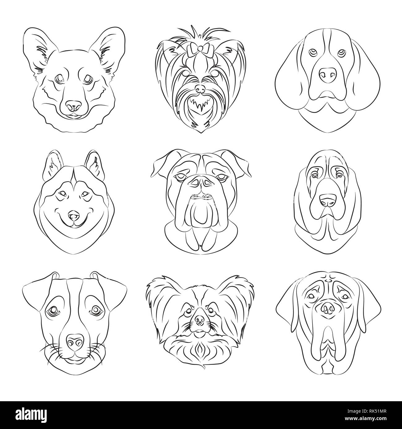 Illustrazione Vettoriale di cani di differenti razze. Illustrazione vettoriale EPS, 10 Illustrazione Vettoriale