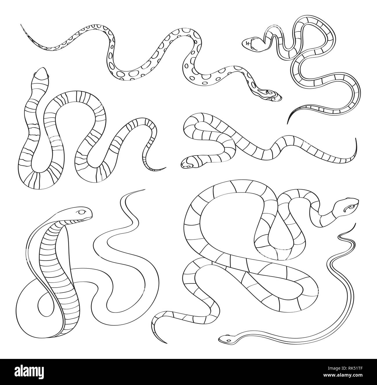 Disegnato a mano set di serpente. Serpenti allungati, legless, carnivori di rettili. Le lucertole, squamates.tossico rettile concetto della fauna selvatica Illustrazione Vettoriale