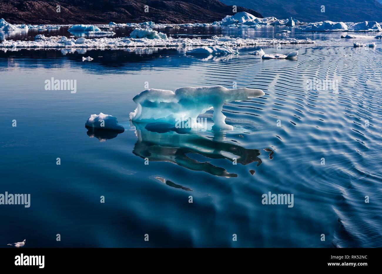 Iceberg, Scoresbysund, est della Groenlandia, Groenlandia, America del Nord Foto Stock
