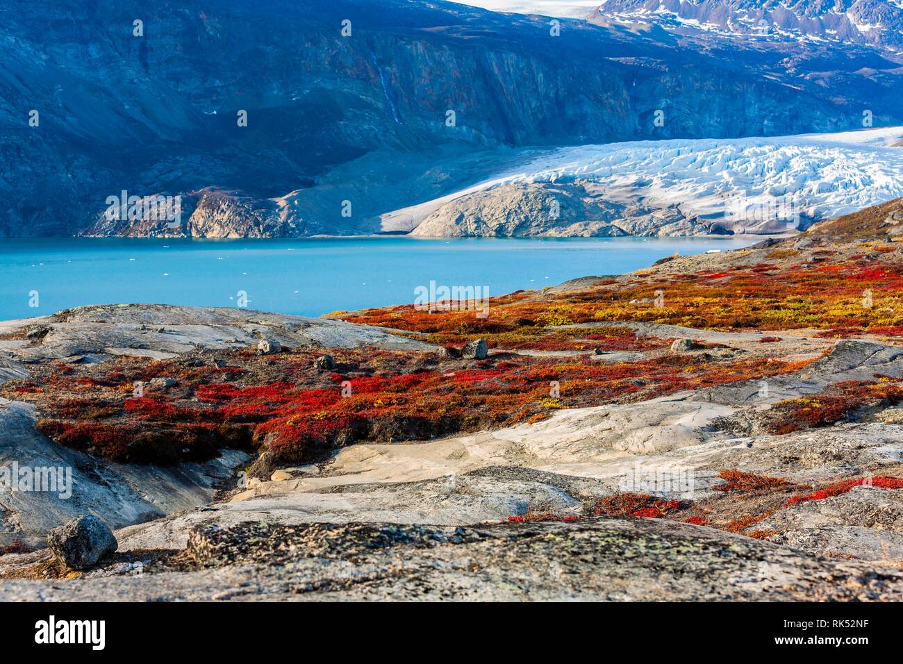Colorful rocce ricoperta nella parte anteriore della lingua del ghiacciaio, paesaggio autunnale, Scoresbysund, est della Groenlandia, Groenlandia, America del Nord Foto Stock