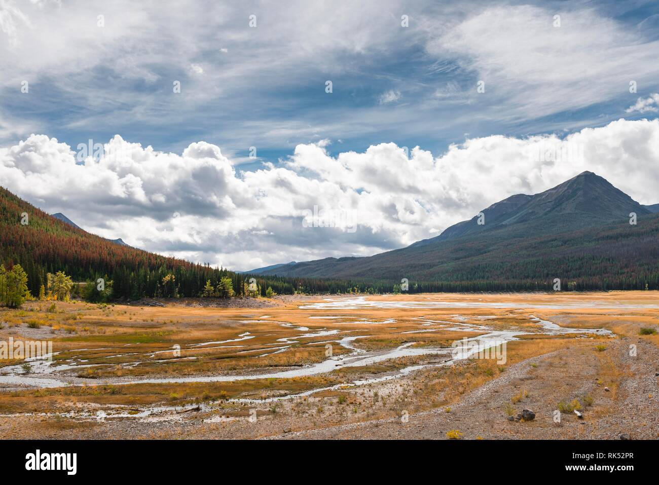 Il flusso si snoda attraverso un paesaggio erboso, Valle Maligne, Jasper National Park PARCO NAZIONALE, Canadian Rocky Mountains, Alberta, Canada, Nord Ameri Foto Stock