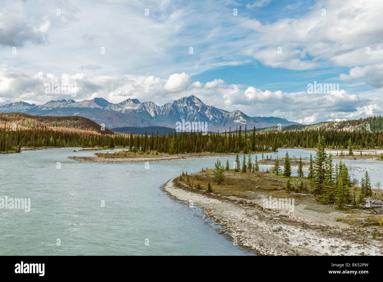 Vista sull'ampia vallata con fiume Athabasca River, torna montagne, Icefields Parkway, Jasper National Park, Alberta, Canada, America del Nord Foto Stock