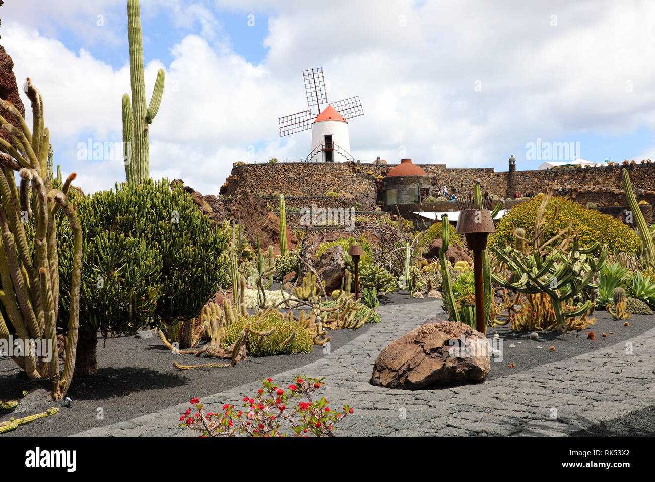 Il giardino dei Cactus a Lanzarote Island che è stato progettato da Cesar Manrique, Spagna Foto Stock