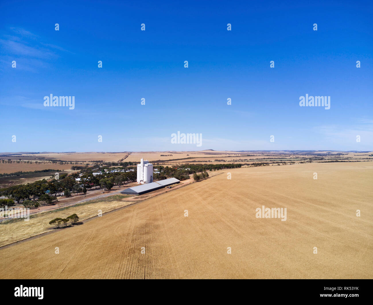 Aerial del paesaggio rurale dotata di campi di grano vicino al momento per la mietitura Ungarra Eyre Peninsula South Australia Foto Stock