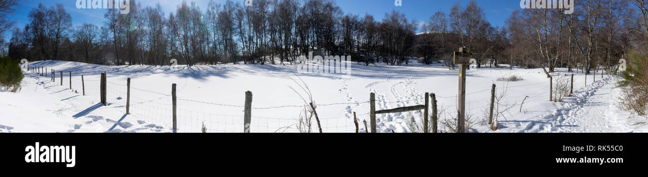 Panoramica della campagna snowy in Auvergne. Sulla strada per il Puy de Parioux, col demoni, Puy-de-Dome, Auvergne Foto Stock