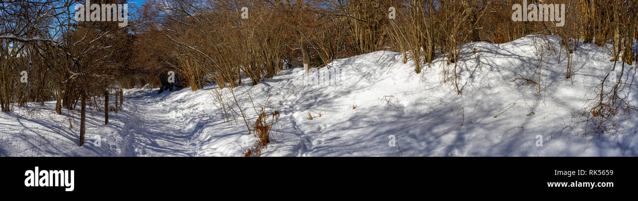 Panoramica della campagna snowy in Auvergne. Sulla strada per il Puy de Parioux, col demoni, Puy-de-Dome, Auvergne Foto Stock