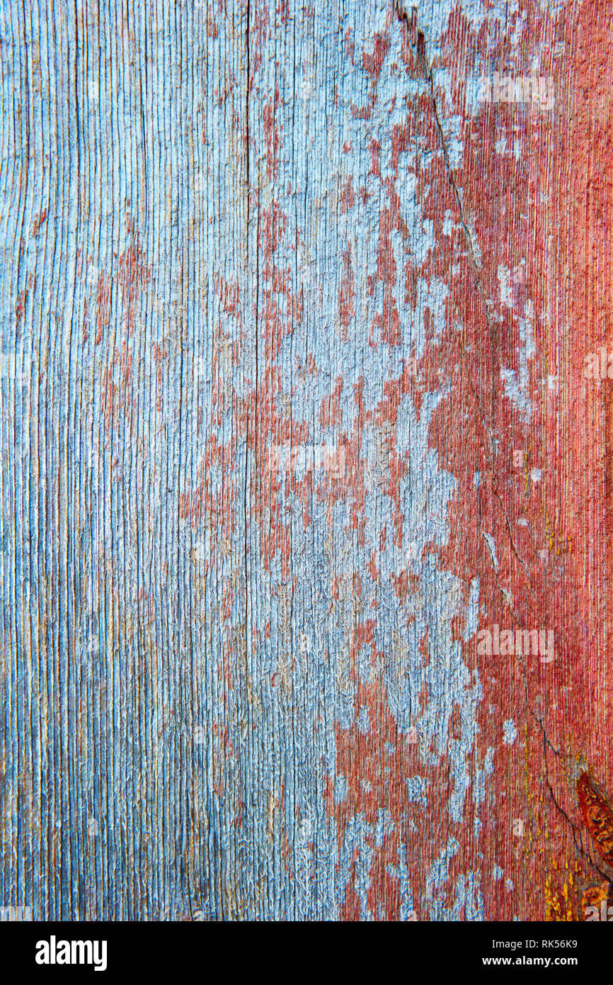 Doghe in legno close-up, bel legno texture. Foto Stock