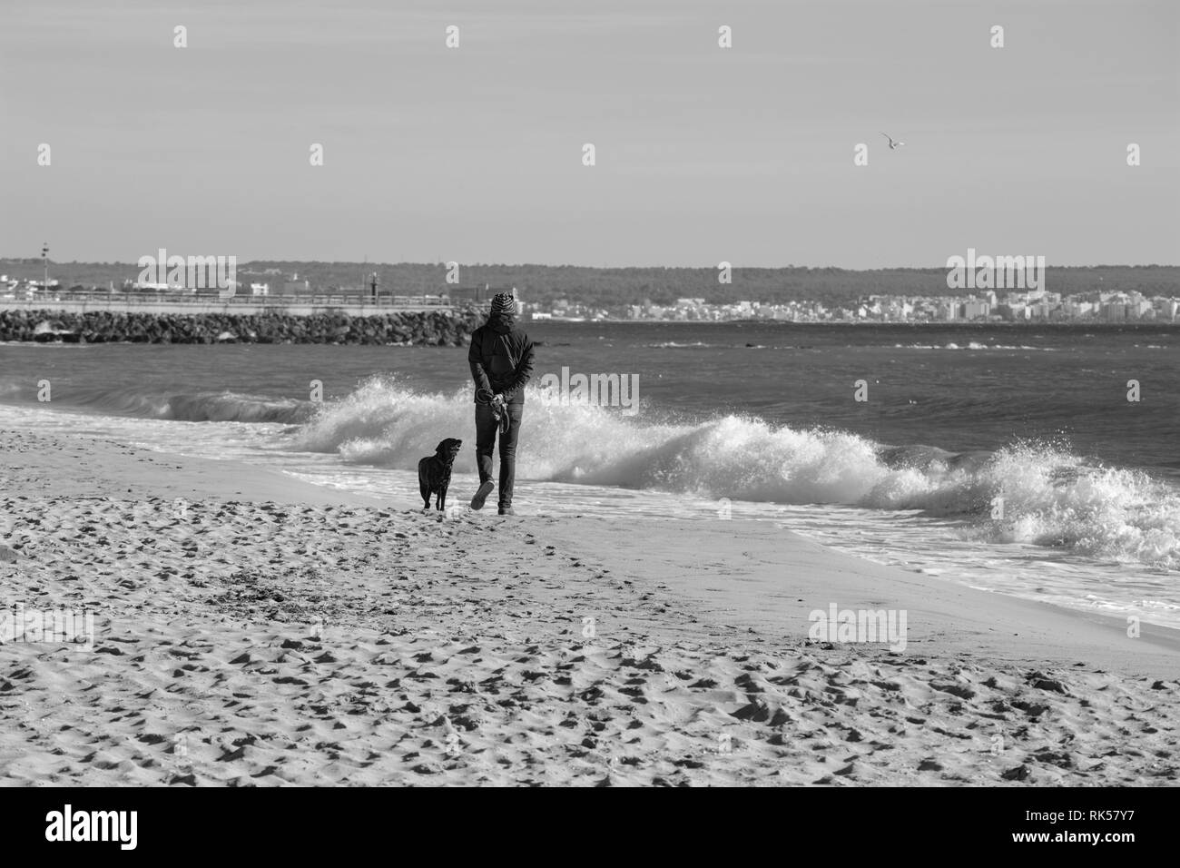 Palma de Mallorca - La spiaggia della città e e la persona del resto con il cane. Foto Stock