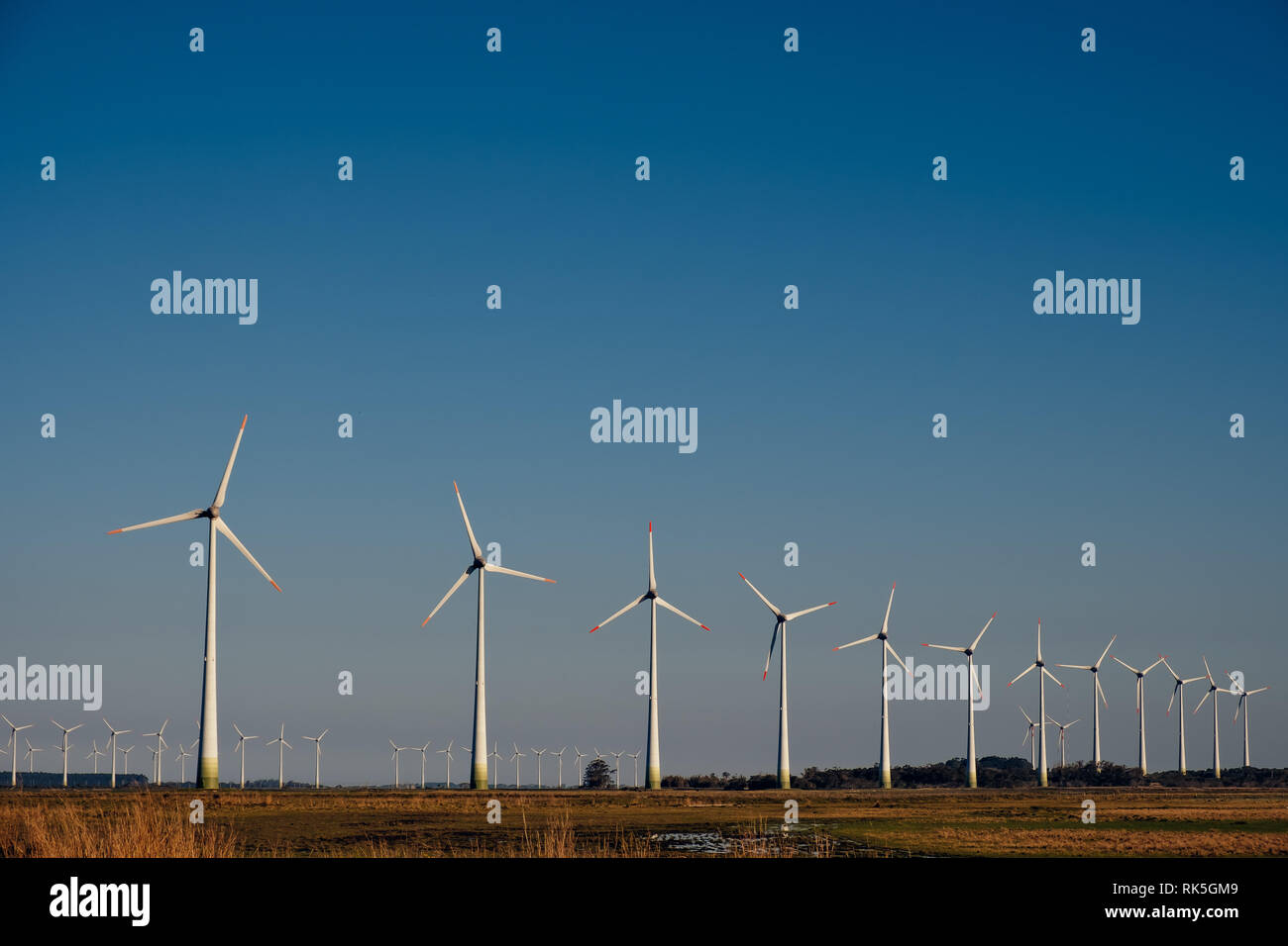 Wind Farm in campagna. La pulizia ecologica via della produzione di energia - turbine eoliche Foto Stock