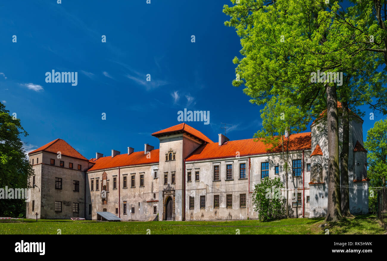 Jaxa Bykowski Palace di Piotrkow Trybunalski, Western Mazovia, Polonia Foto Stock
